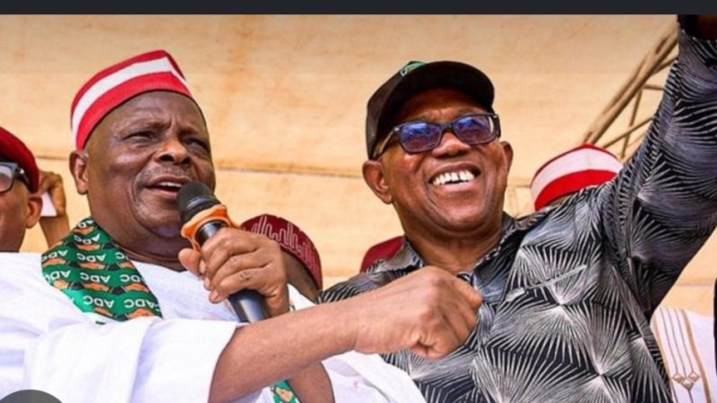2027: NDC Plans Different Petrol Subsidy Approach — Kwankwaso