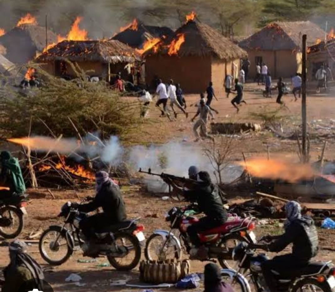 Security Forces Kill 18 Bandits, Recover Firearms, Livestock in Katsina 