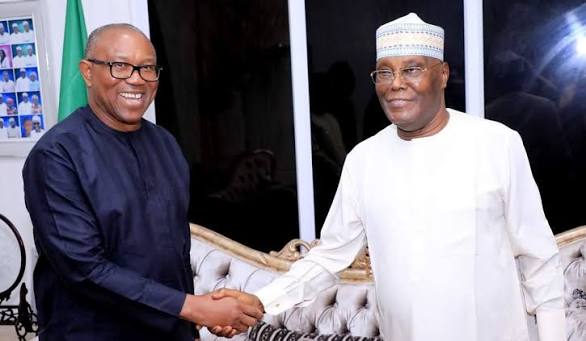 APC Chieftain Cautions Opposition Presidential Candidates Against Fuel Subsidy Restoration Pledge